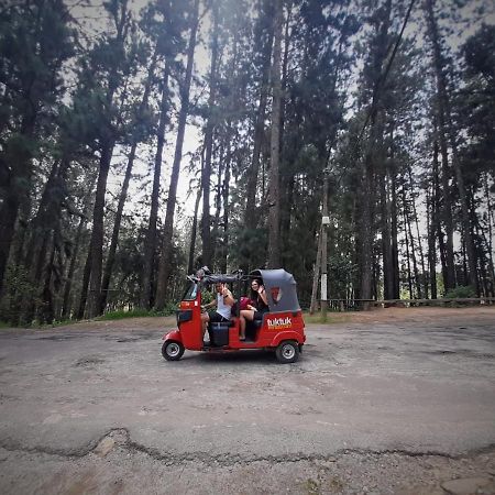 Pine Trees Homestay ナラタニヤ エクステリア 写真