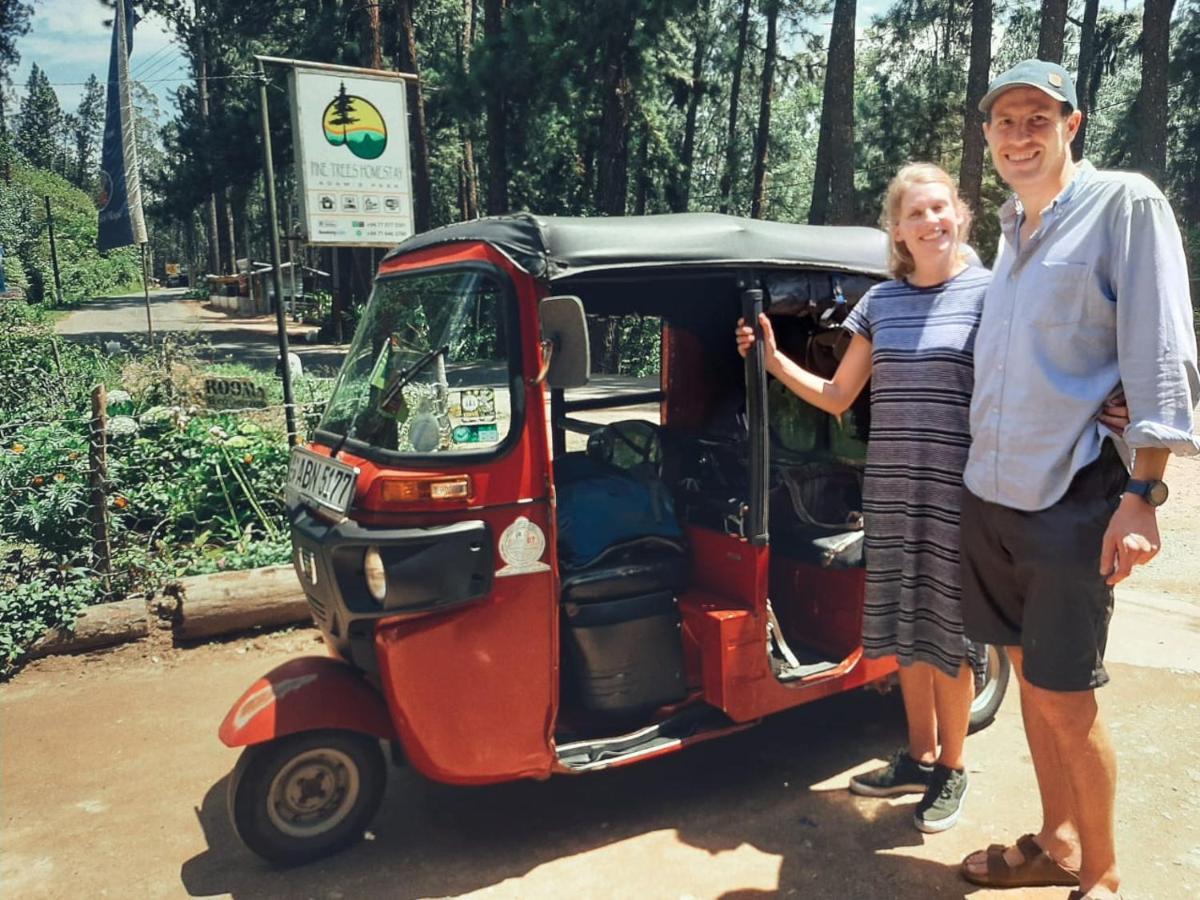 Pine Trees Homestay ナラタニヤ エクステリア 写真