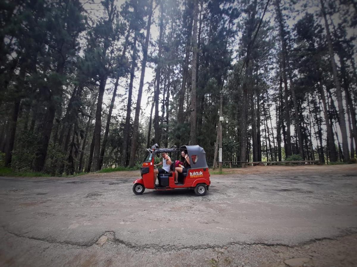Pine Trees Homestay ナラタニヤ エクステリア 写真