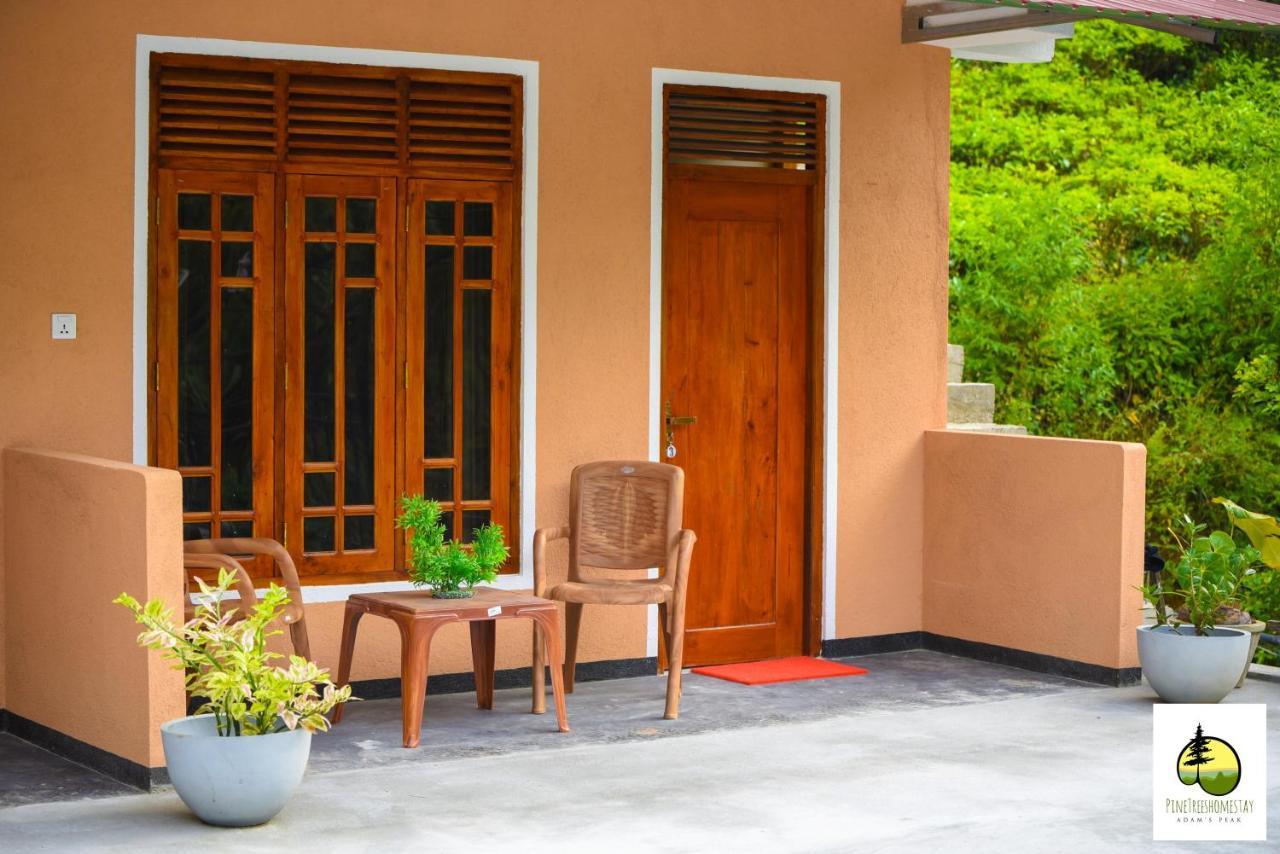 Pine Trees Homestay ナラタニヤ エクステリア 写真
