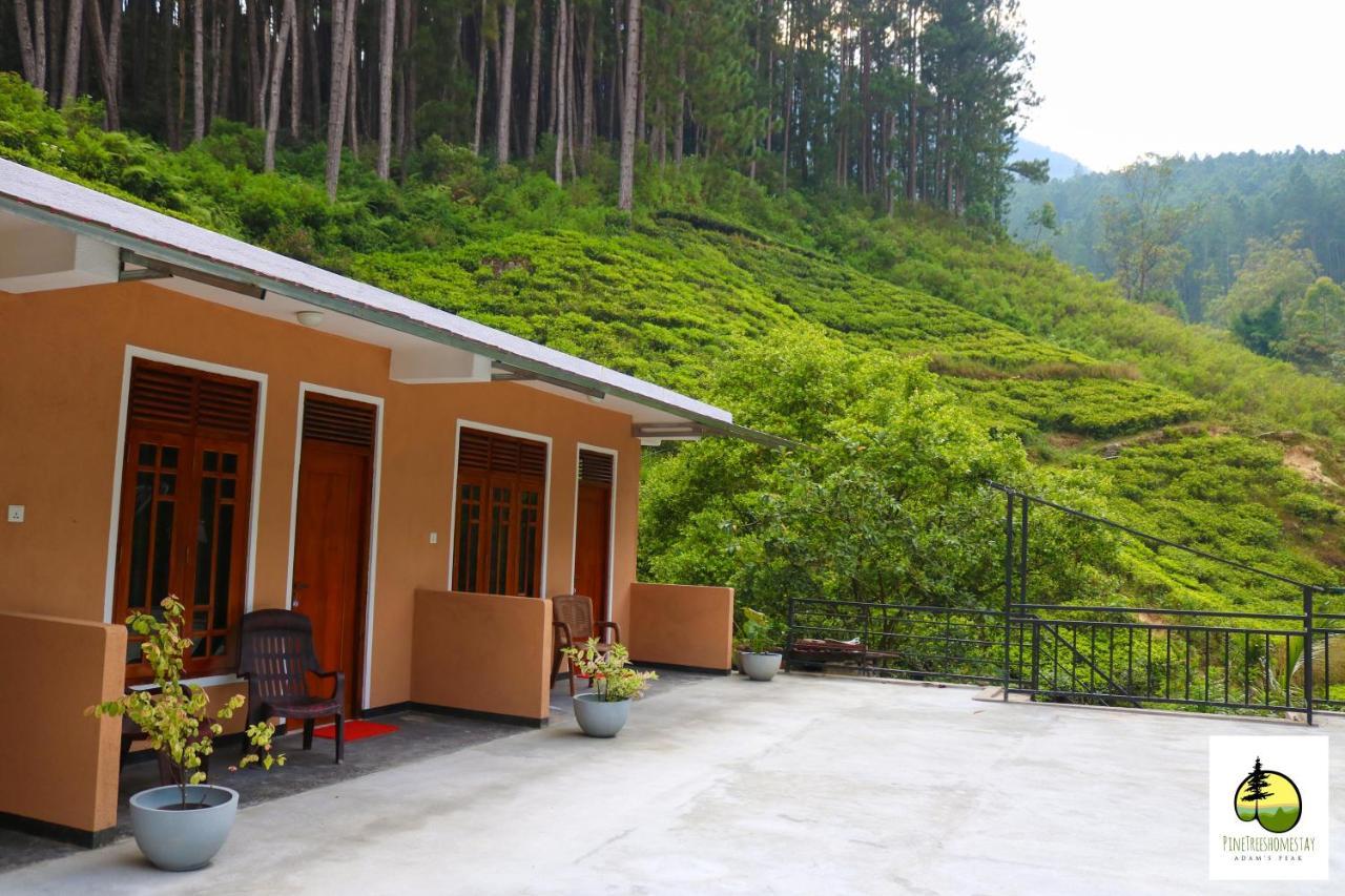 Pine Trees Homestay ナラタニヤ エクステリア 写真