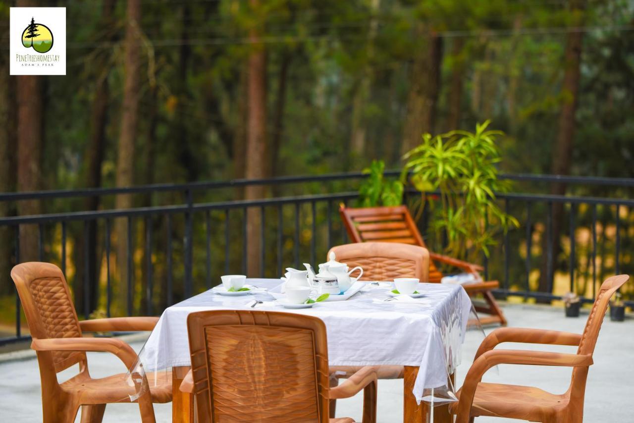 Pine Trees Homestay ナラタニヤ エクステリア 写真