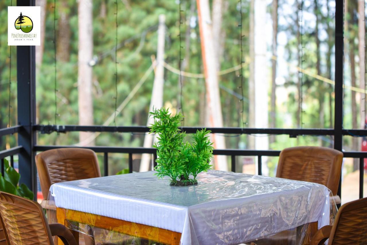 Pine Trees Homestay ナラタニヤ エクステリア 写真