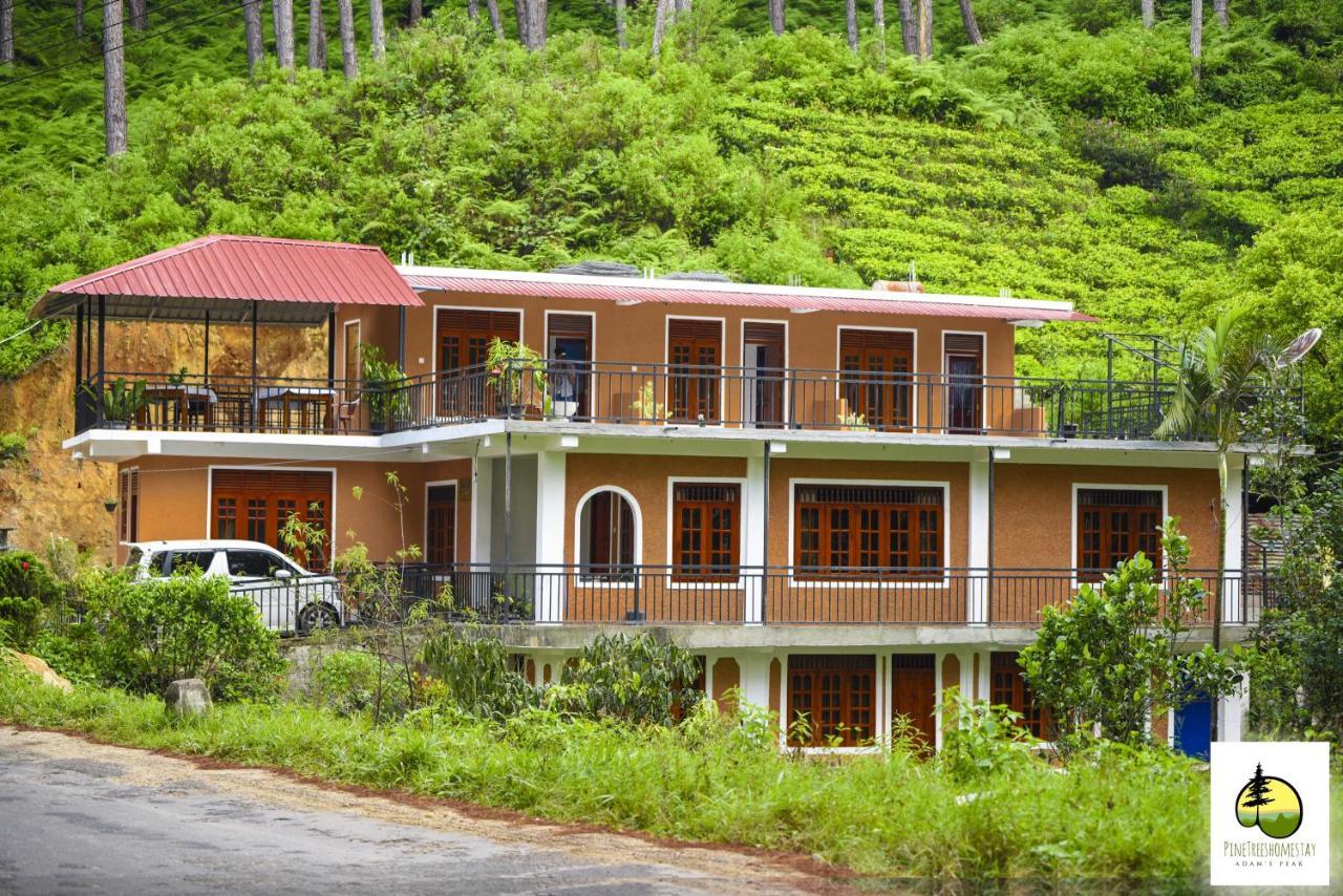 Pine Trees Homestay ナラタニヤ エクステリア 写真