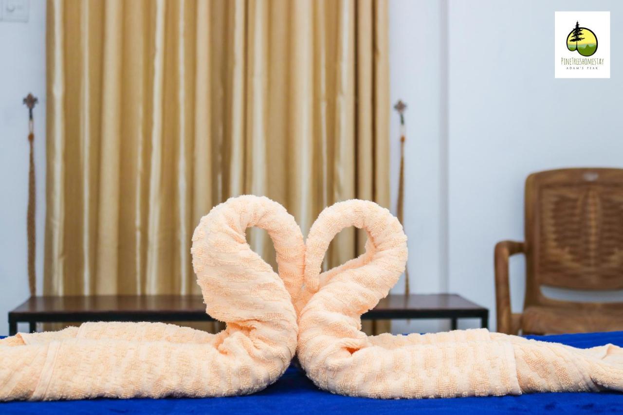 Pine Trees Homestay ナラタニヤ エクステリア 写真