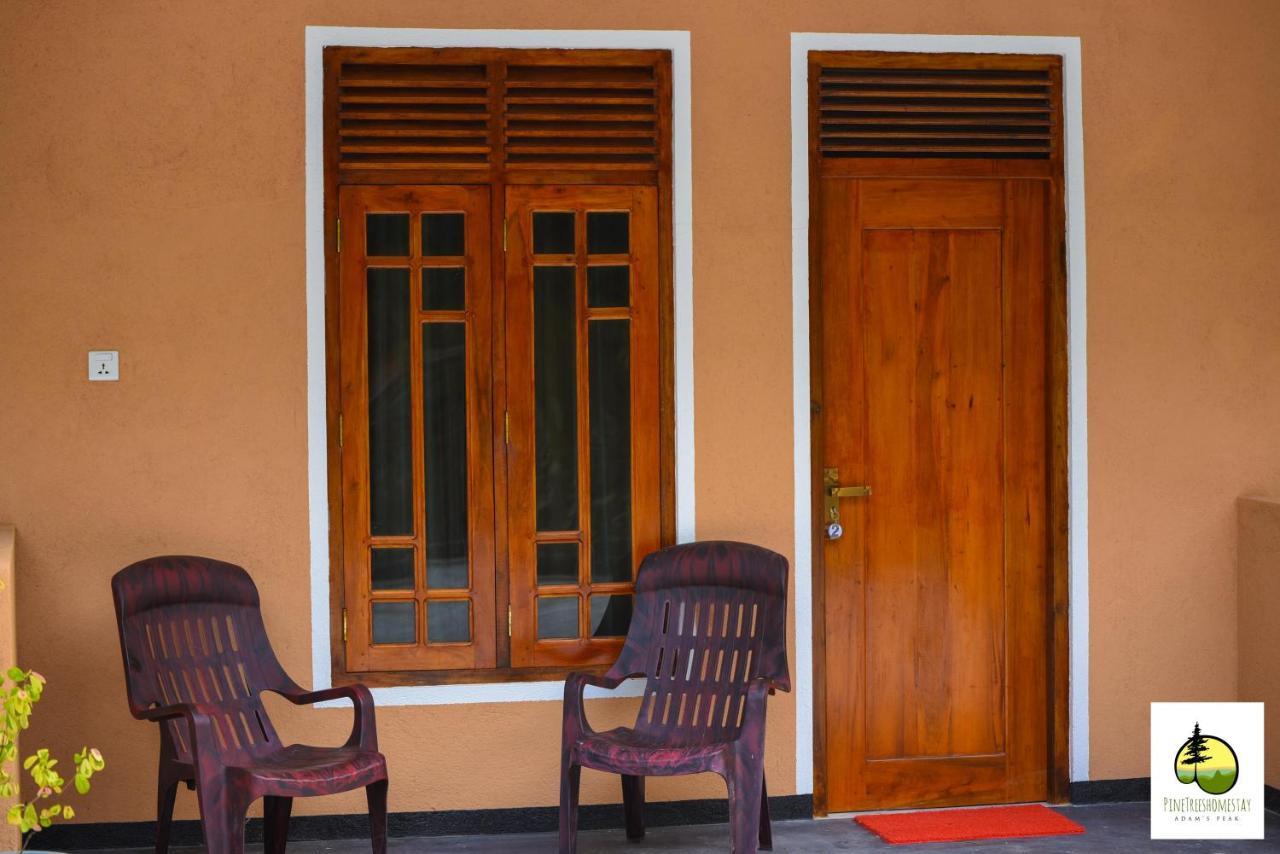 Pine Trees Homestay ナラタニヤ エクステリア 写真