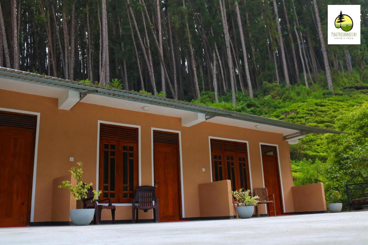 Pine Trees Homestay ナラタニヤ エクステリア 写真