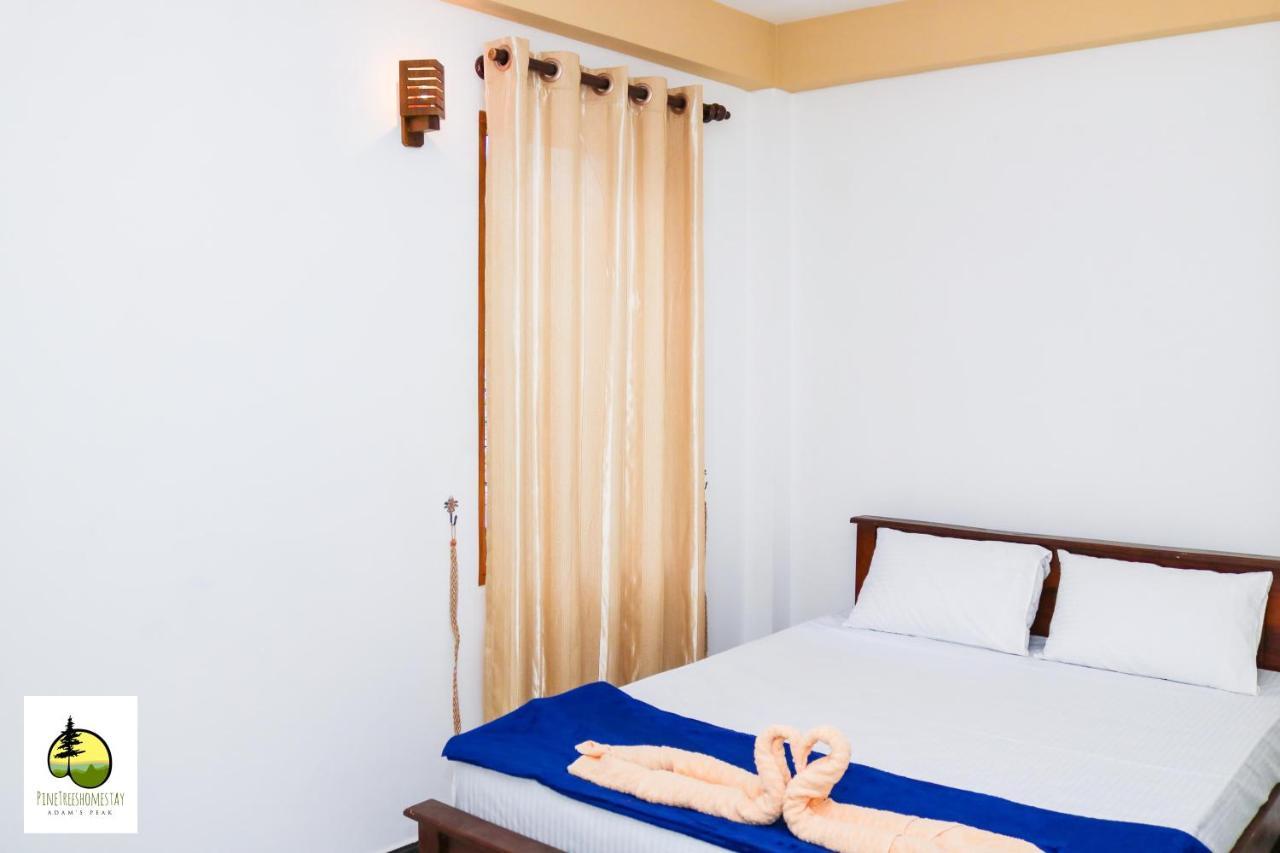 Pine Trees Homestay ナラタニヤ エクステリア 写真