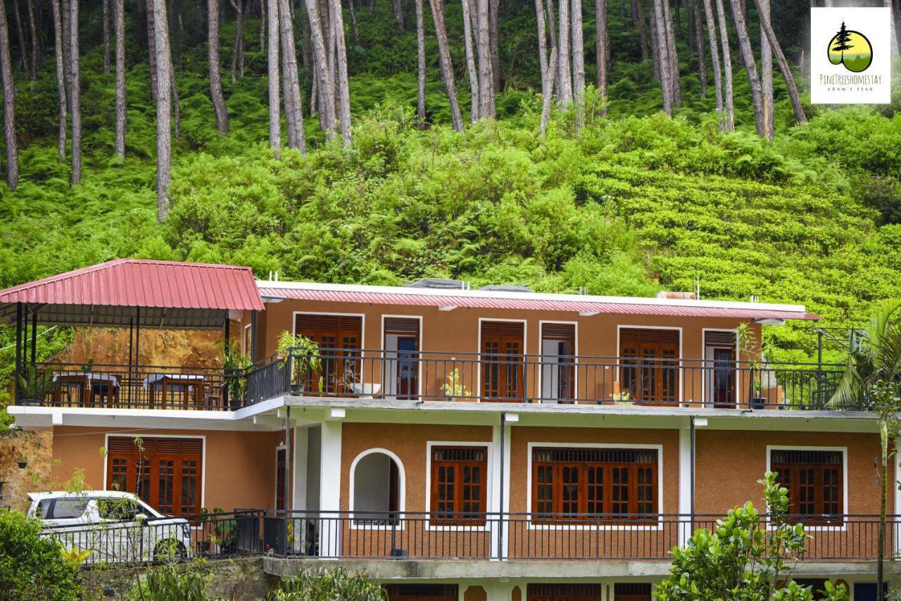 Pine Trees Homestay ナラタニヤ エクステリア 写真