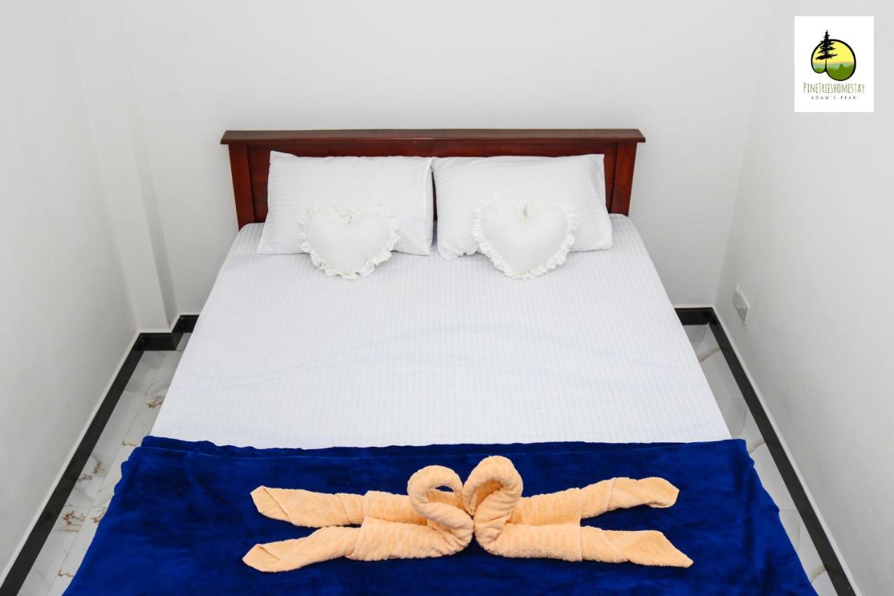 Pine Trees Homestay ナラタニヤ エクステリア 写真