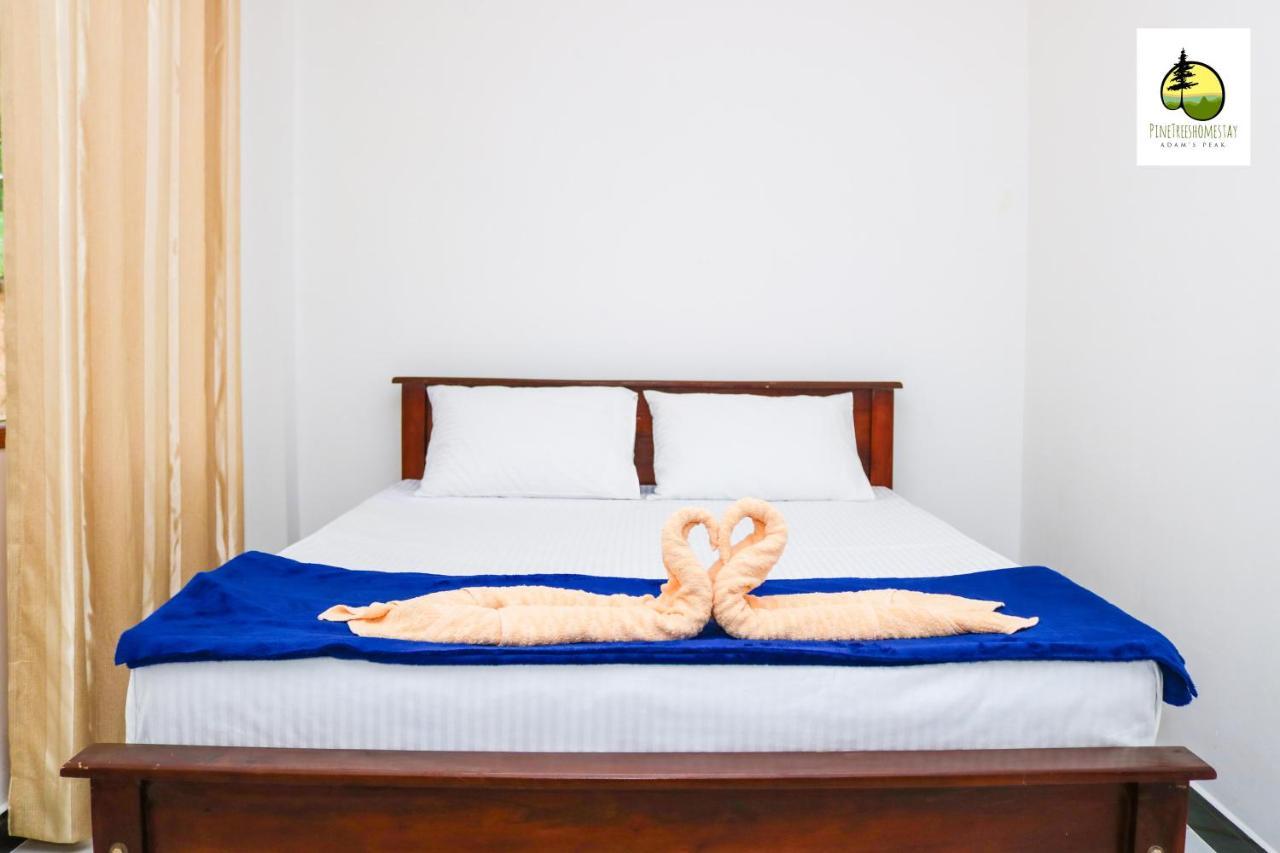 Pine Trees Homestay ナラタニヤ エクステリア 写真