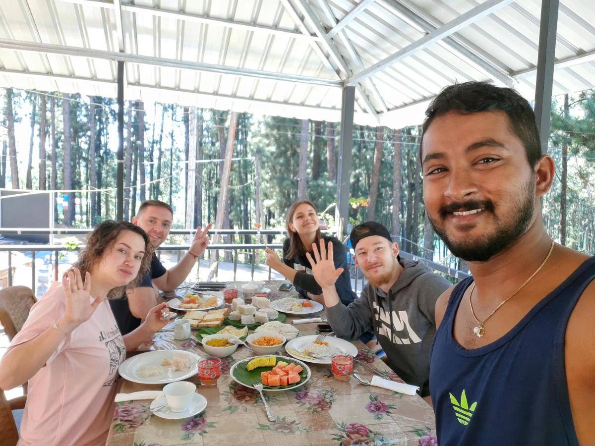Pine Trees Homestay ナラタニヤ エクステリア 写真