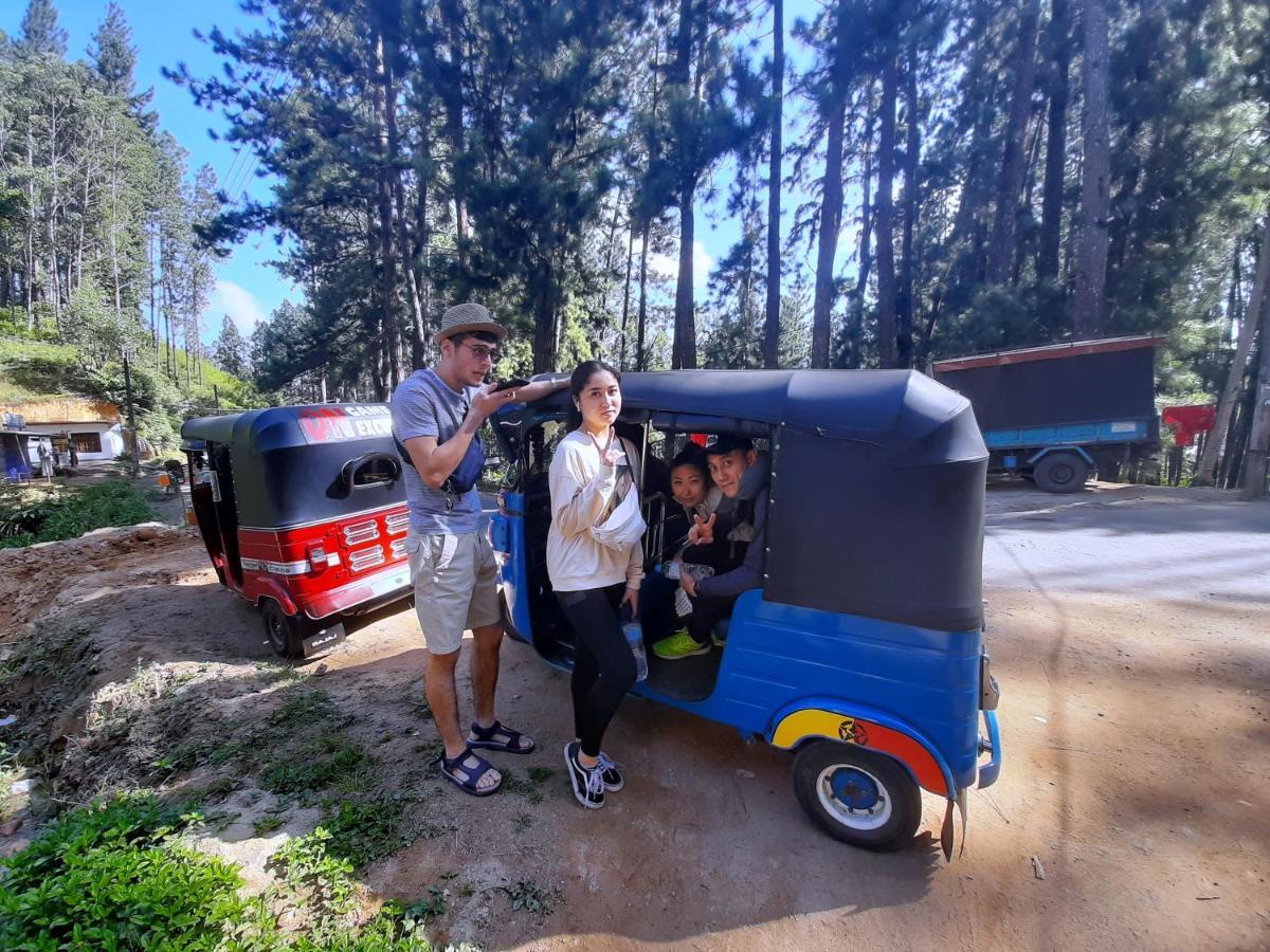 Pine Trees Homestay ナラタニヤ エクステリア 写真